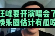 为什么娱乐圈吃瓜看汪峰